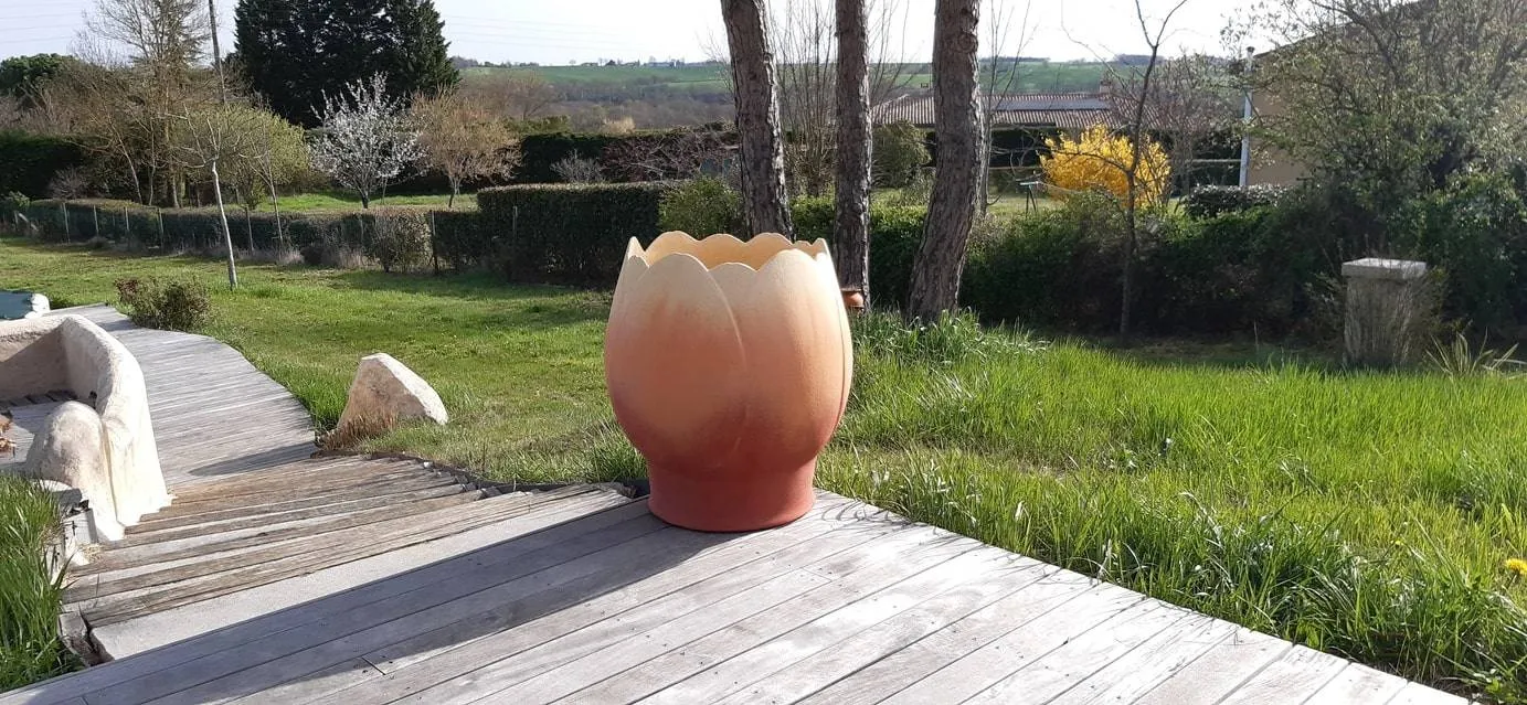 Les tulipes